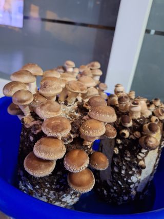 욕심내지말자님의 자유주제 · 자유게시판 작성글 사진