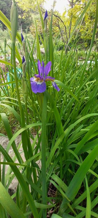 사과15865김도화님의 자유주제 · 사진전 작성글 사진
