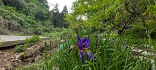 사과15865김도화님의 자유주제 · 사진전 작성글 사진