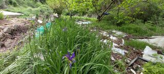 사과15865김도화님의 자유주제 · 사진전 작성글 사진