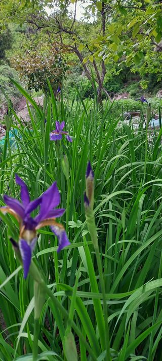 사과15865김도화님의 자유주제 · 사진전 작성글 사진