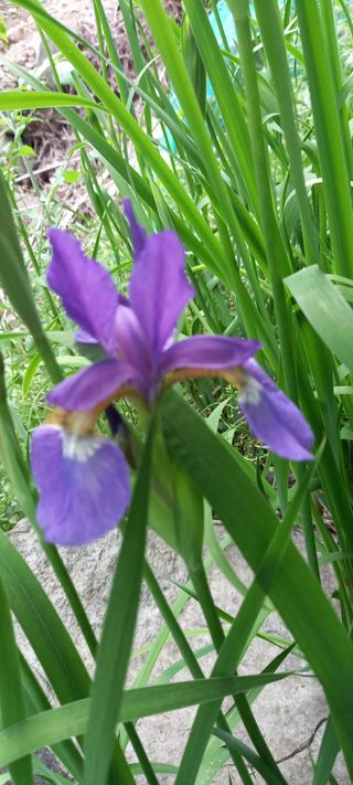 사과15865김도화님의 자유주제 · 사진전 작성글 사진