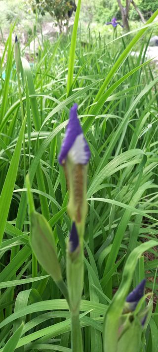 사과15865김도화님의 자유주제 · 사진전 작성글 사진