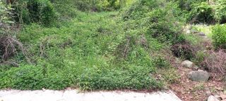 사과15865김도화님의 자유주제 · 사진전 작성글 사진