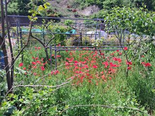 이희자님의 자유주제 · 자유게시판 작성글 사진