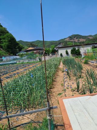 이희자님의 자유주제 · 자유게시판 작성글 사진