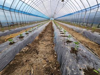 김창순님의 그곳에서 농사하게 된 계기는? · 참여글 작성글 사진