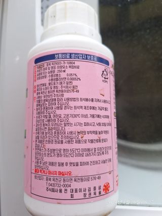 로즈마리님의 마늘 · 영농일지 작성글 사진