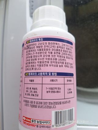 로즈마리님의 마늘 · 영농일지 작성글 사진