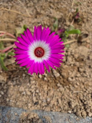 송명식님의 그곳에서 농사하게 된 계기는? · 참여글 작성글 사진