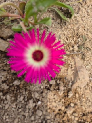 송명식님의 그곳에서 농사하게 된 계기는? · 참여글 작성글 사진