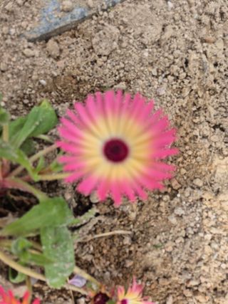 송명식님의 그곳에서 농사하게 된 계기는? · 참여글 작성글 사진