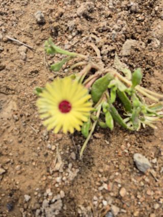 송명식님의 그곳에서 농사하게 된 계기는? · 참여글 작성글 사진