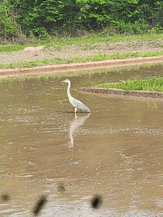 백화산지킴이산야초님의 그곳에서 농사하게 된 계기는? · 참여글 작성글 사진