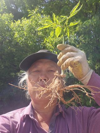 백화산지킴이산야초님의 그곳에서 농사하게 된 계기는? · 참여글 작성글 사진