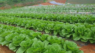 유형철님의 자유주제 · 자유게시판 작성글 사진