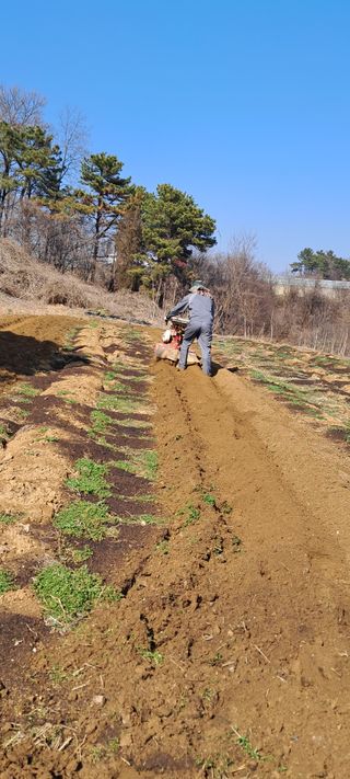 이영미님의 그곳에서 농사하게 된 계기는? · 참여글 작성글 사진