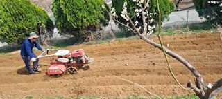 이영미님의 그곳에서 농사하게 된 계기는? · 참여글 작성글 사진