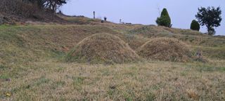 이영미님의 그곳에서 농사하게 된 계기는? · 참여글 작성글 사진