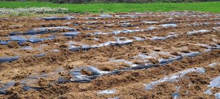 이영미님의 그곳에서 농사하게 된 계기는? · 참여글 작성글 사진