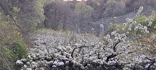 이영미님의 그곳에서 농사하게 된 계기는? · 참여글 작성글 사진