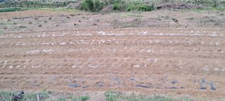 이영미님의 그곳에서 농사하게 된 계기는? · 참여글 작성글 사진