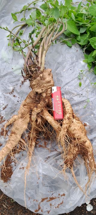 이영미님의 그곳에서 농사하게 된 계기는? · 참여글 작성글 사진