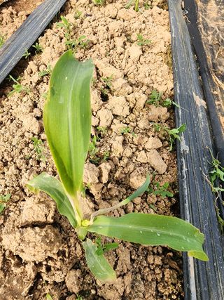 이영욱 님의 자유주제 · 자유게시판 작성글 사진