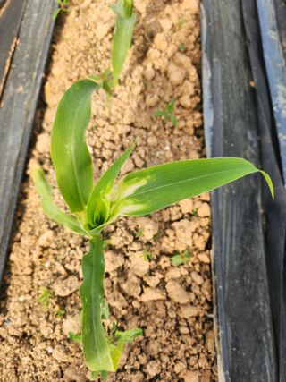 이영욱 님의 자유주제 · 자유게시판 작성글 사진