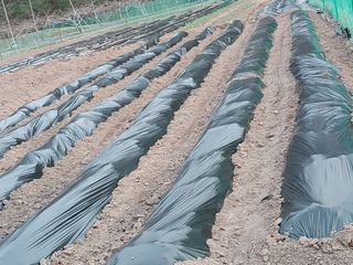 포도20173님의 자유주제 · 자유게시판 작성글 사진