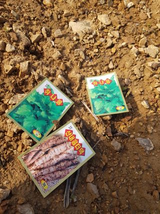 정석구님의 자유주제 · 자유게시판 작성글 사진