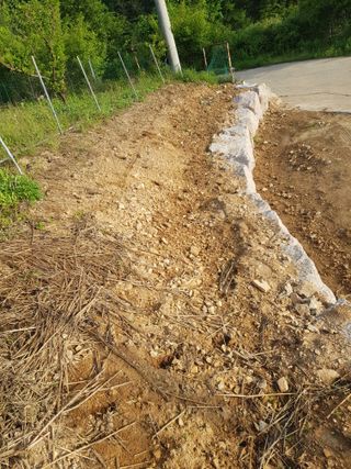 정석구님의 자유주제 · 자유게시판 작성글 사진