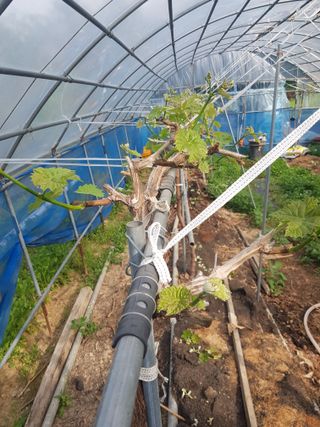 정석구님의 자유주제 · 자유게시판 작성글 사진