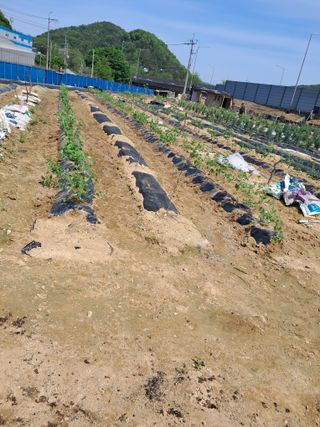 전희분님의 자유주제 · 사진전 작성글 사진