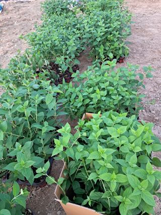 전희분님의 자유주제 · 사진전 작성글 사진