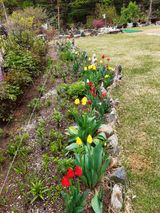 팜모닝 그곳에서 농사하게 된 계기는?·참여글 게시글 이미지