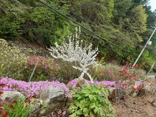 모란과작약님의 그곳에서 농사하게 된 계기는? · 참여글 작성글 사진