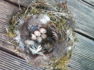 모란과작약님의 그곳에서 농사하게 된 계기는? · 참여글 작성글 사진