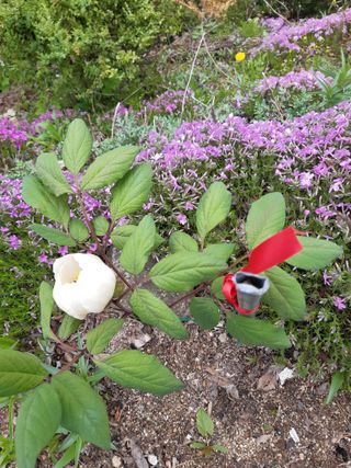 모란과작약님의 그곳에서 농사하게 된 계기는? · 참여글 작성글 사진