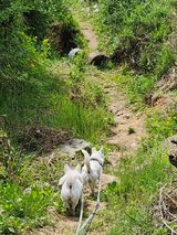 팜모닝 그곳에서 농사하게 된 계기는?·참여글 게시글 이미지