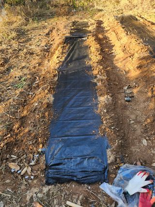 감20617님의 그곳에서 농사하게 된 계기는? · 참여글 작성글 사진