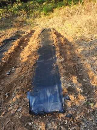 감20617님의 그곳에서 농사하게 된 계기는? · 참여글 작성글 사진