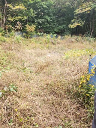 감20617님의 그곳에서 농사하게 된 계기는? · 참여글 작성글 사진