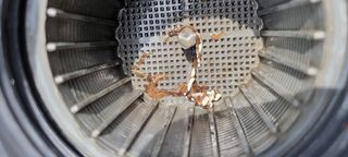 희망농부58님의 자유주제 · 자유게시판 작성글 사진