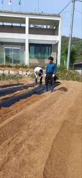 팜모닝 고추·영농일지 게시글 이미지