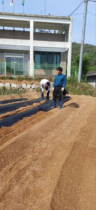 이수용님의 고추 · 영농일지 작성글 사진