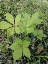 팜모닝 자유주제·건의해요 게시글 이미지