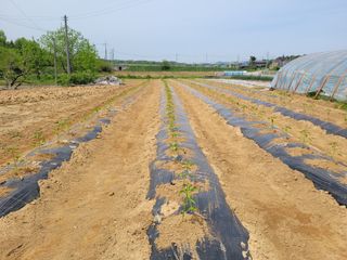 커피나무님의 자유주제 · 자유게시판 작성글 사진