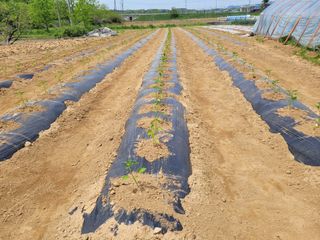 커피나무님의 자유주제 · 자유게시판 작성글 사진