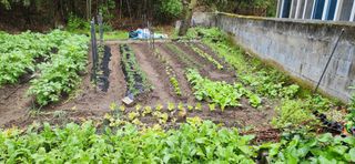 이인구님의 자유주제 · 자유게시판 작성글 사진